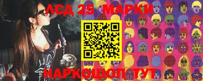 стафф Гатчина