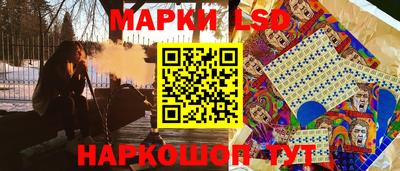 стафф Гатчина