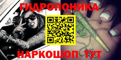 молекула духа Гагарин