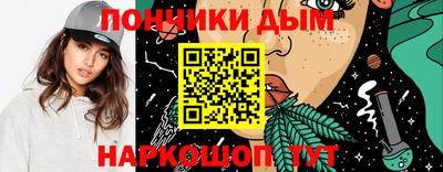 стафф Гатчина