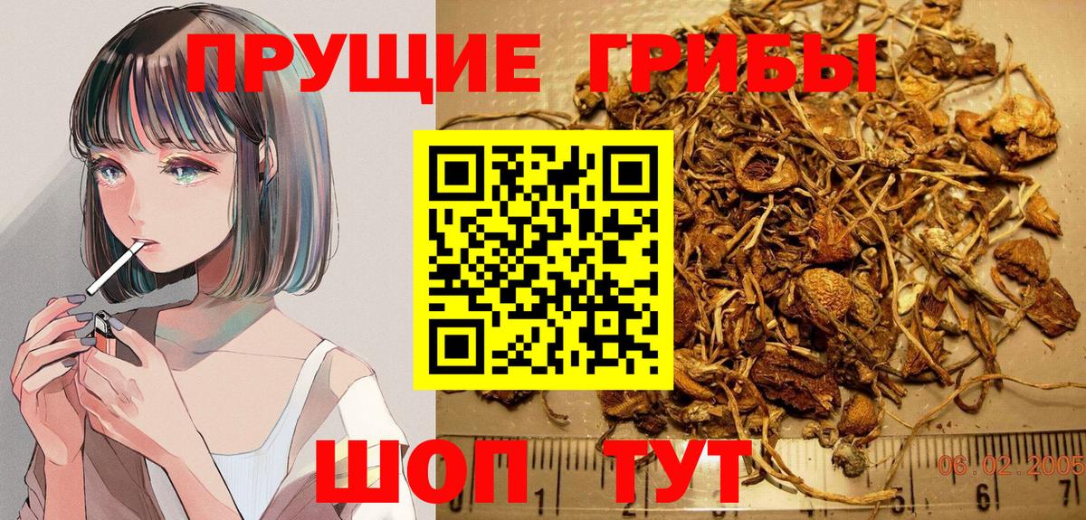 Псилоцибиновые грибы Magic Shrooms Кашира